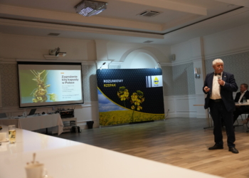 Kiła kapusty – poważny problem w uprawie rzepaku