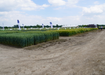 Dzień Pola w Spytkówkach (woj. wielkopolskie)