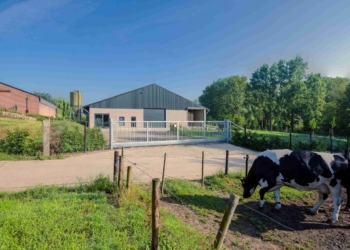 Ogrodzenie na posesję rolnika – wybierz odpowiednie i otrzymaj dofinansowanie