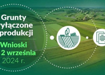 Wnioski o nową płatność do 2 września 2024 r.