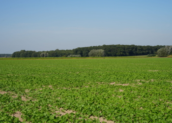 Prognoza synoptyczna na 38. tydzień roku