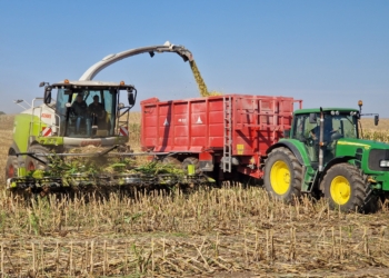 Zbiór kukurydzy kiszonkowej 2024