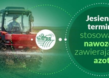 Kiedy stosować nawozy zawierające azot
