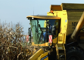 Kampania kukurydziana w toku