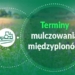 Mulczowanie międzyplonów po 15 listopada