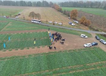 Akademia Rzepaku 7.11.2024 – galeria zdjęć