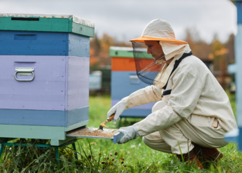 Ile uli potrzebuję, żeby zarobić na życie?