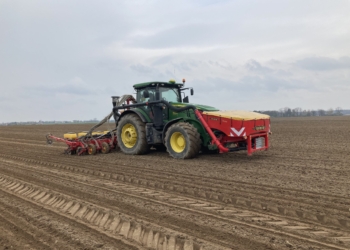 Ekstremalnie sucha gleba. Siew kukurydzy