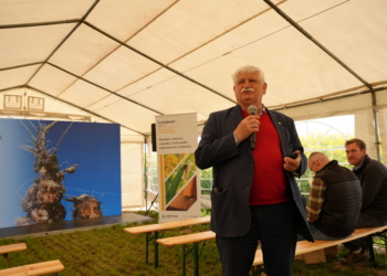 Choroby pod kontrolą – praktyczny poradnik lustracji i terminów zabiegów