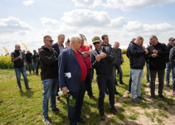 Rzepak od A do Z: Odmiany, nawożenie, ochrona – Akademia Rzepaku 14 maj 2025