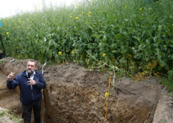 Ostatni krok do wysokiego plonu – azot na zieloną łuszczynę