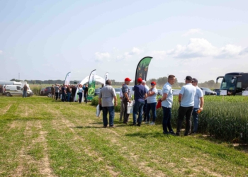 Dni Pola INNVIGO. Skuteczne rozwiązania w praktyce