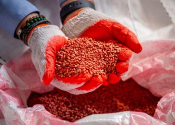 Ochrona fungicydowa zbóż zaczyna się przed siewem