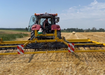 Międzyplony – przygotuj glebę na nowy sezon!