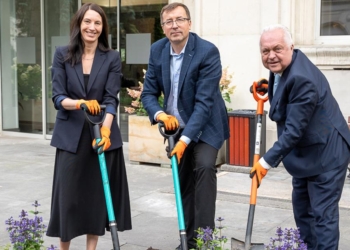 „Pomagamy pszczołom bez lipy” – akcja sadzenia roślin dla zapylaczy z okazji Wielkiego Dnia Pszczół
