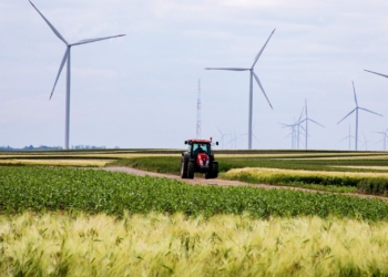 Zrównoważone rolnictwo – jak zmniejszyć emisję CO2 w gospodarstwie?