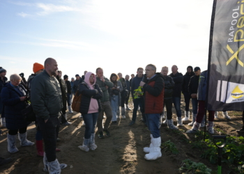 Stan plantacji rzepaku i strategie jesiennego dokarmiania